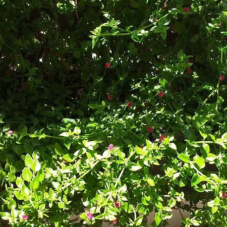 Bed & Breakfast Attico Barocco Lecce