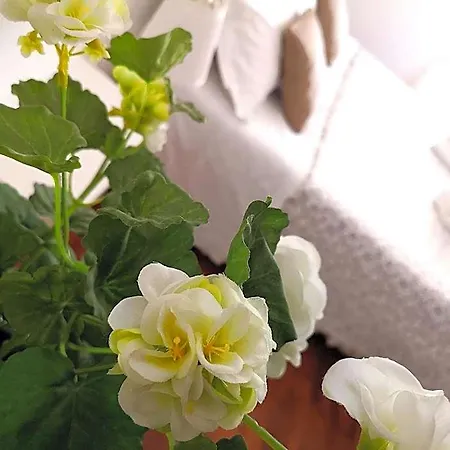 B&B Attico Barocco 레체