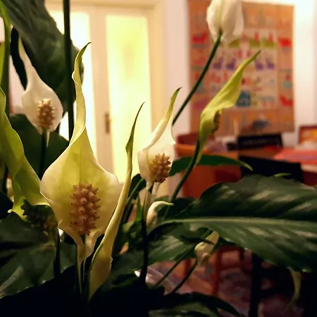 B&B Attico Barocco