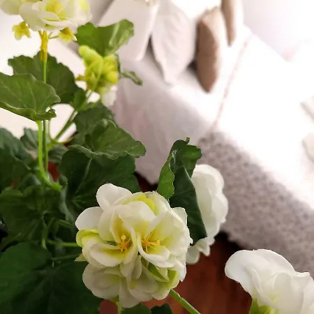 Attico Barocco Bed & Breakfast Lecce