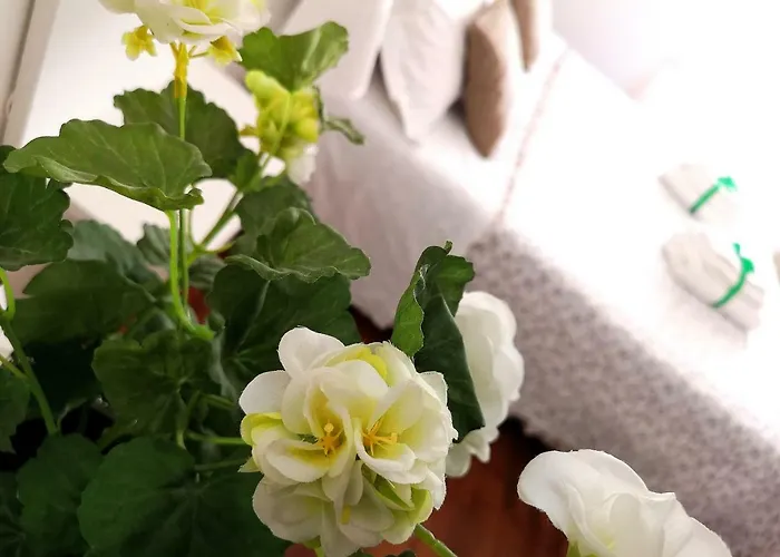 Attico Barocco B&B 레체